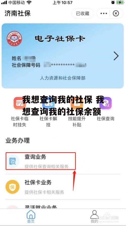 我想查询我的社保 我想查询我的社保余额