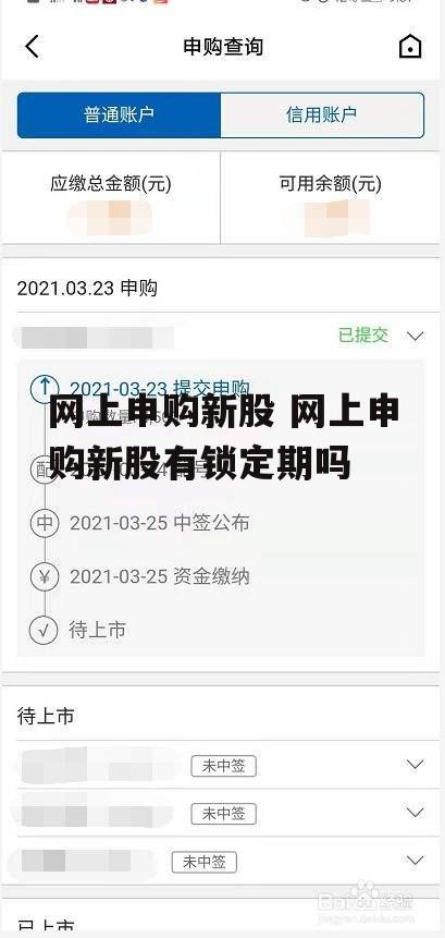 网上申购新股 网上申购新股有锁定期吗