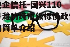 央企信托-国兴110号潍坊纯市级标债政信的简单介绍