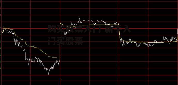 购买股票入门 新手入门买股票