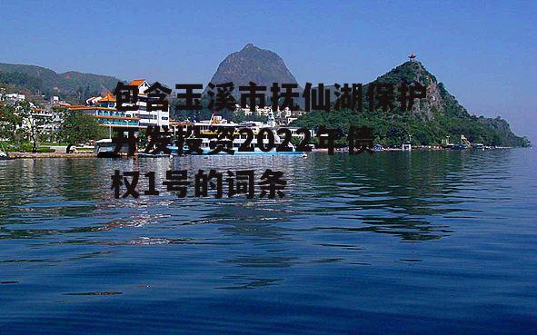 包含玉溪市抚仙湖保护开发投资2022年债权1号的词条