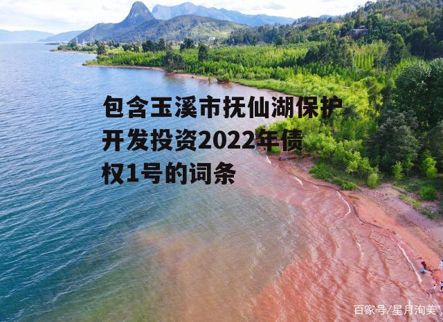 包含玉溪市抚仙湖保护开发投资2022年债权1号的词条