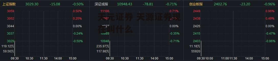 天元证券 天源证券现在叫什么