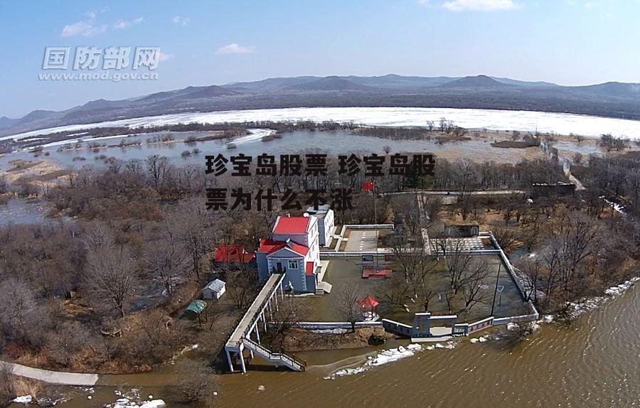 珍宝岛股票 珍宝岛股票为什么不涨