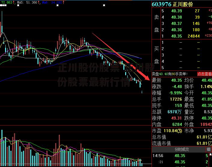 正川股份股票 正川股份股票最新行情