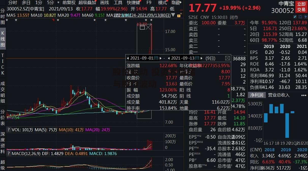 股价波动 投资者情绪与股价波动