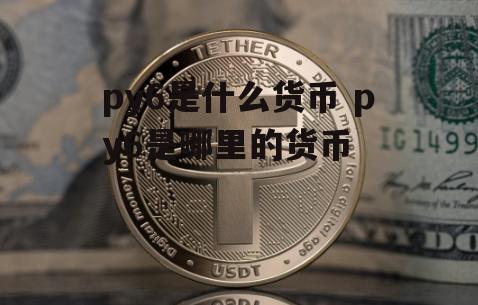 py6是什么货币 py6是哪里的货币