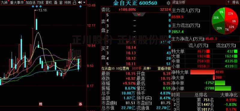 正川股份 正川股份股吧