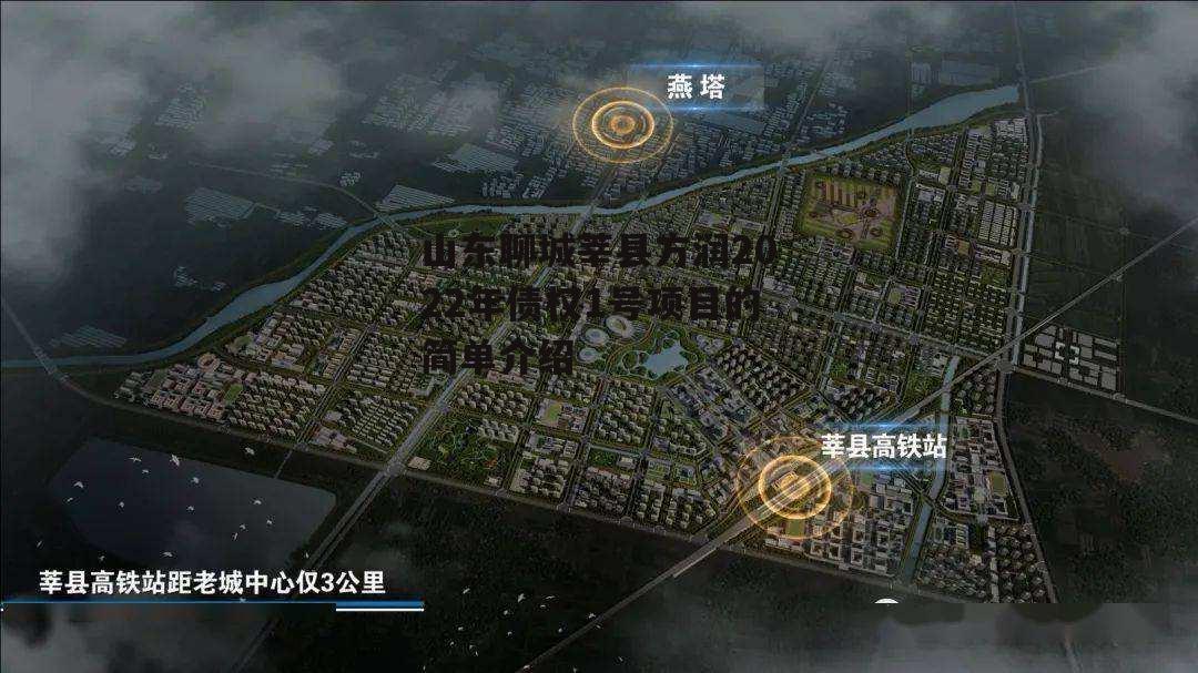 山东聊城莘县方润2022年债权1号项目的简单介绍