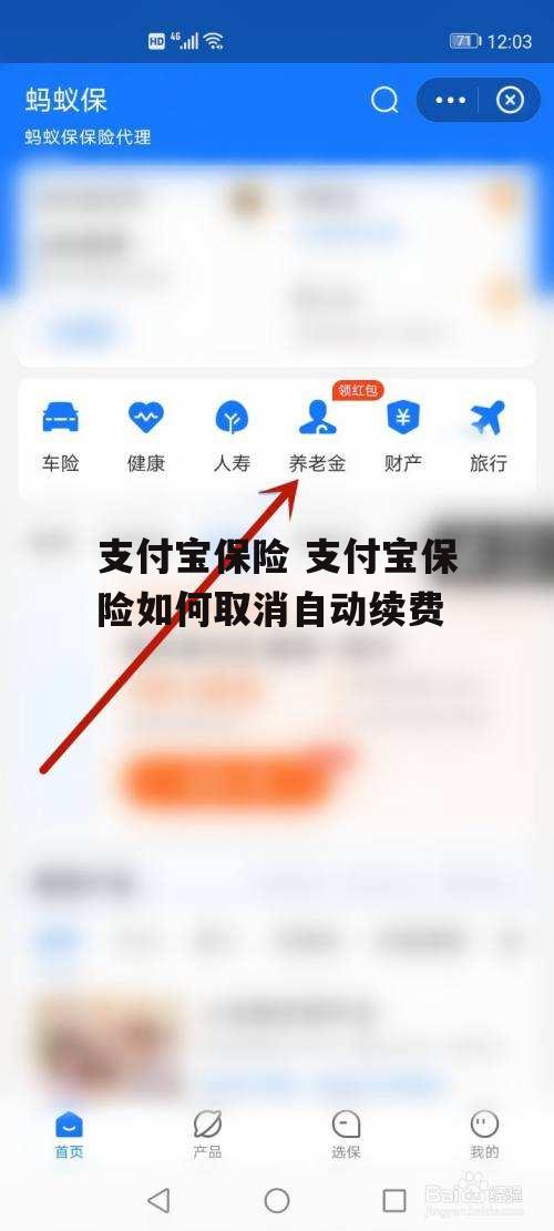 支付宝保险 支付宝保险如何取消自动续费