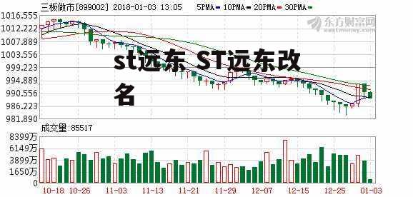 st远东 ST远东改名