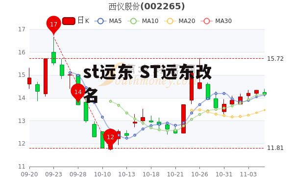 st远东 ST远东改名