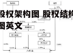 股权架构图 股权结构图英文