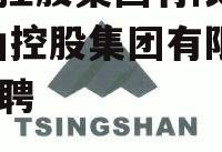 青山控股集团有限公司 青山控股集团有限公司招聘