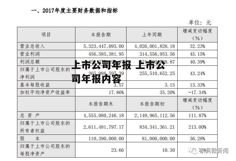 上市公司年报 上市公司年报内容