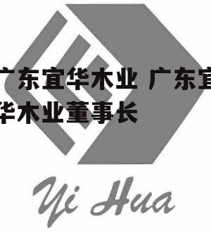 广东宜华木业 广东宜华木业董事长