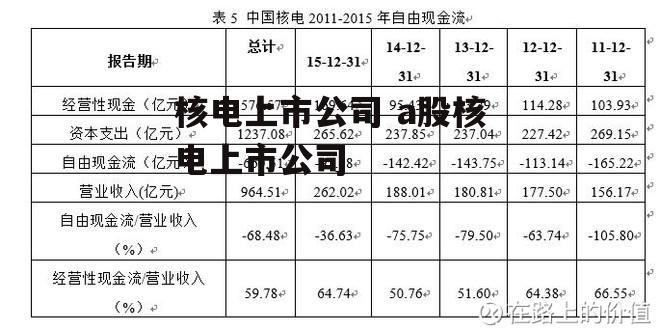 核电上市公司 a股核电上市公司