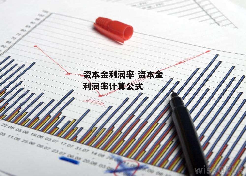 资本金利润率 资本金利润率计算公式