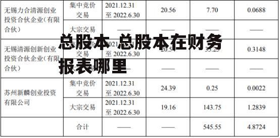 总股本 总股本在财务报表哪里