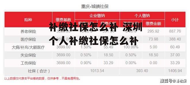 补缴社保怎么补 深圳个人补缴社保怎么补