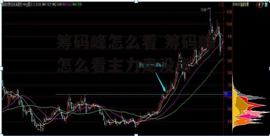 筹码峰怎么看 筹码峰怎么看主力走没走