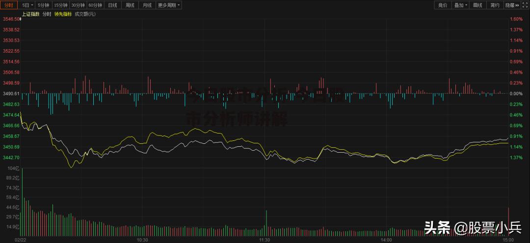 今日股市分析 今日股市分析师讲解