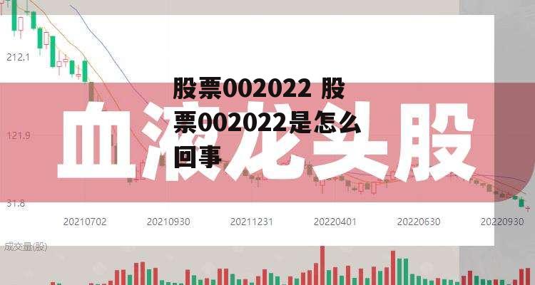 股票002022 股票002022是怎么回事