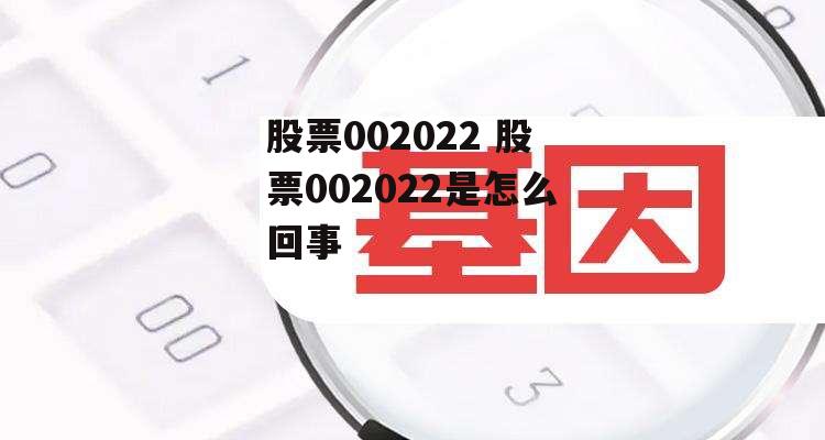 股票002022 股票002022是怎么回事