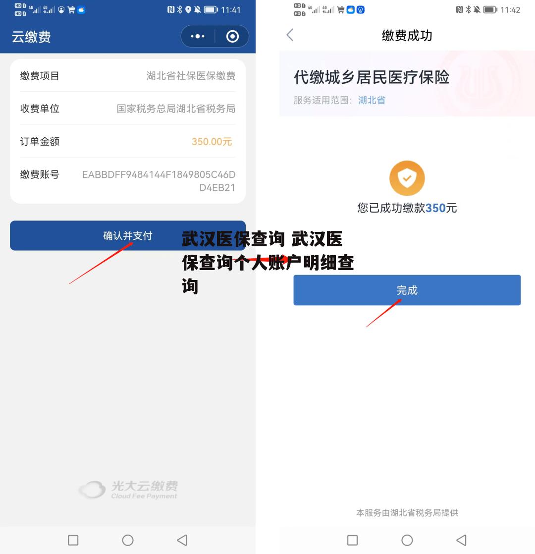 武汉医保查询 武汉医保查询个人账户明细查询