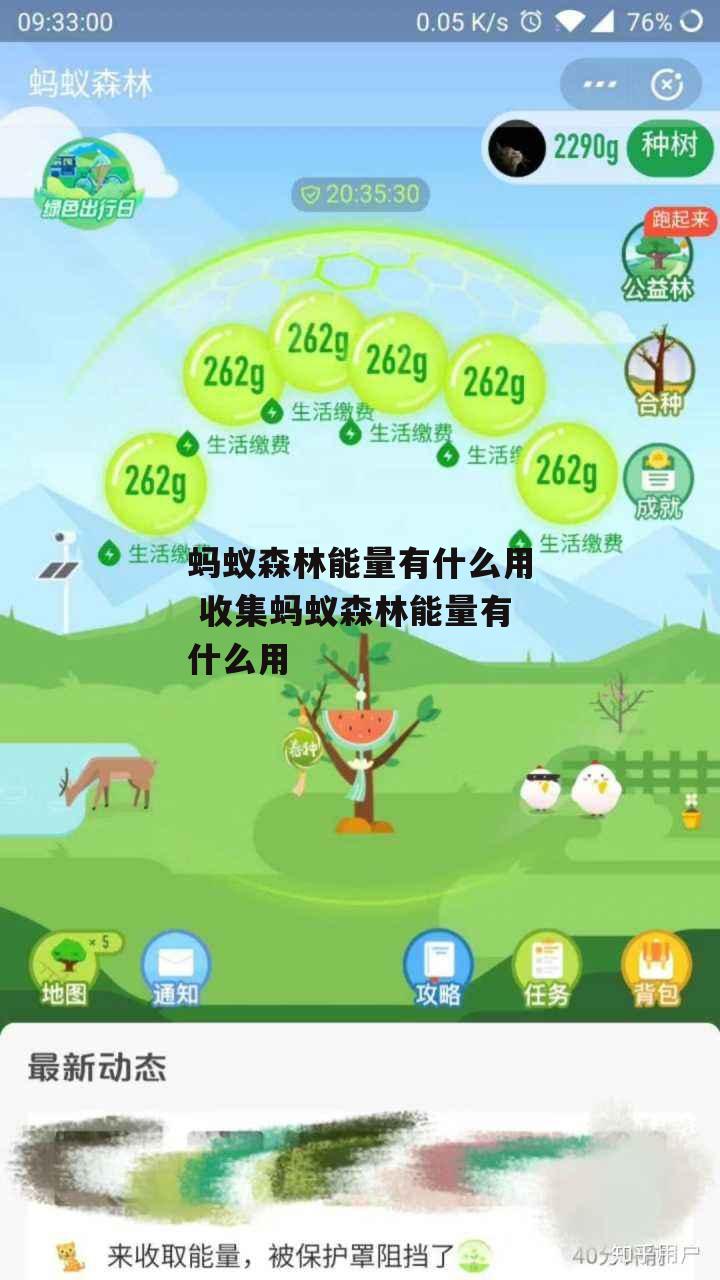 蚂蚁森林能量有什么用 收集蚂蚁森林能量有什么用