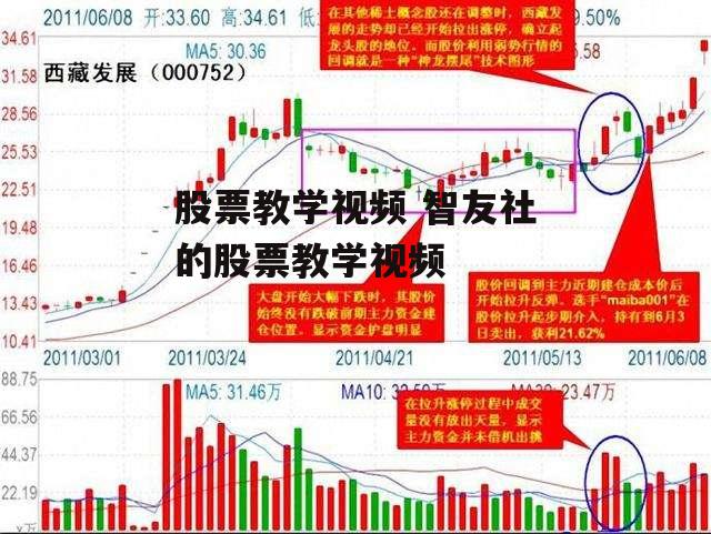 股票教学视频 智友社的股票教学视频