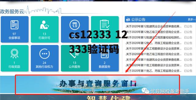 cs12333 12333验证码