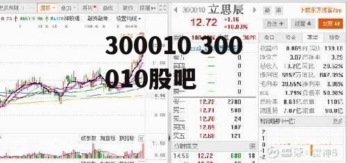 300010 300010股吧