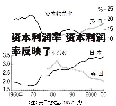 资本利润率 资本利润率反映了