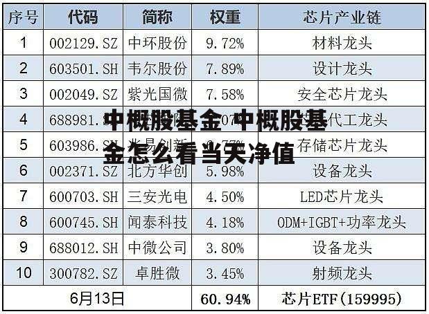 中概股基金 中概股基金怎么看当天净值