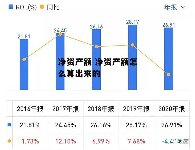 净资产额 净资产额怎么算出来的