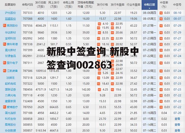 新股中签查询 新股中签查询002863