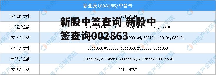 新股中签查询 新股中签查询002863