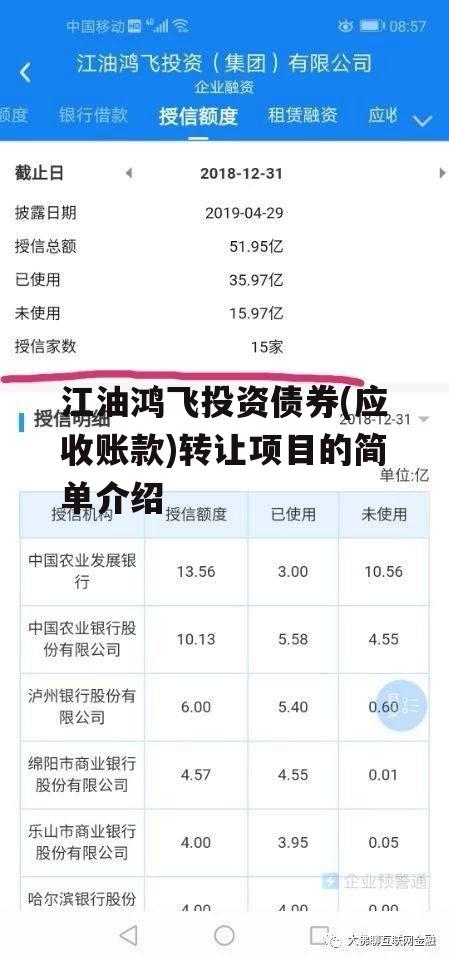 江油鸿飞投资债券(应收账款)转让项目的简单介绍