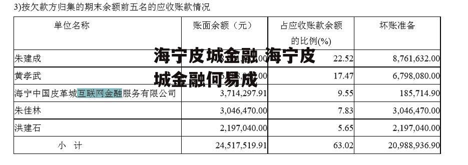 海宁皮城金融 海宁皮城金融何易成