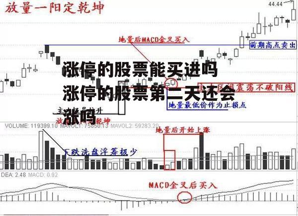 涨停的股票能买进吗 涨停的股票第二天还会涨吗