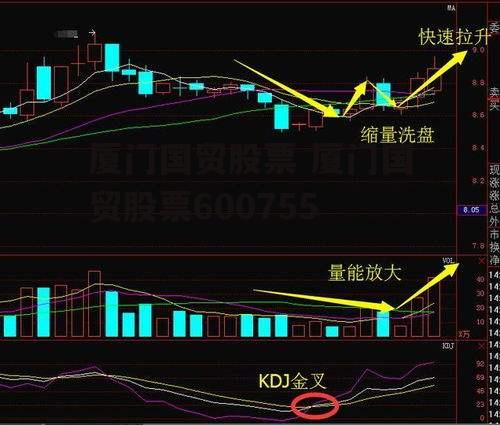 厦门国贸股票 厦门国贸股票600755