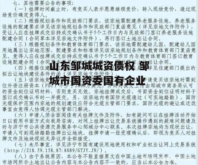 山东邹城城资债权 邹城市国资委国有企业