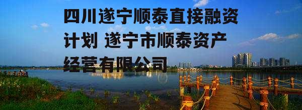 四川遂宁顺泰直接融资计划 遂宁市顺泰资产经营有限公司