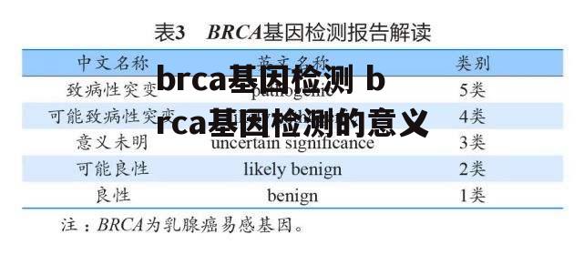 brca基因检测 brca基因检测的意义