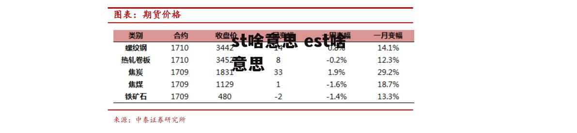 st啥意思 est啥意思