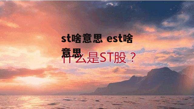 st啥意思 est啥意思