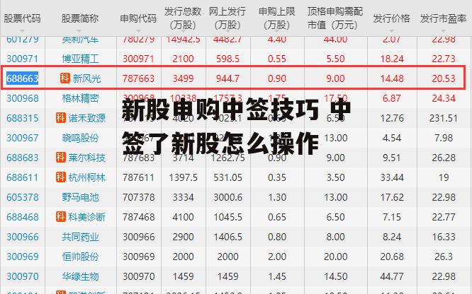 新股申购中签技巧 中签了新股怎么操作