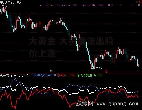 大资金 大资金流出股价上涨