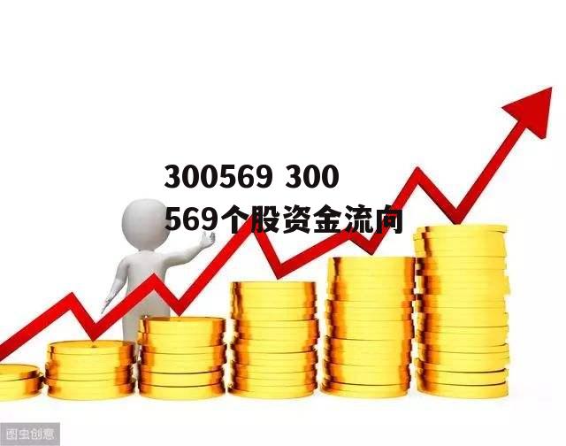 300569 300569个股资金流向